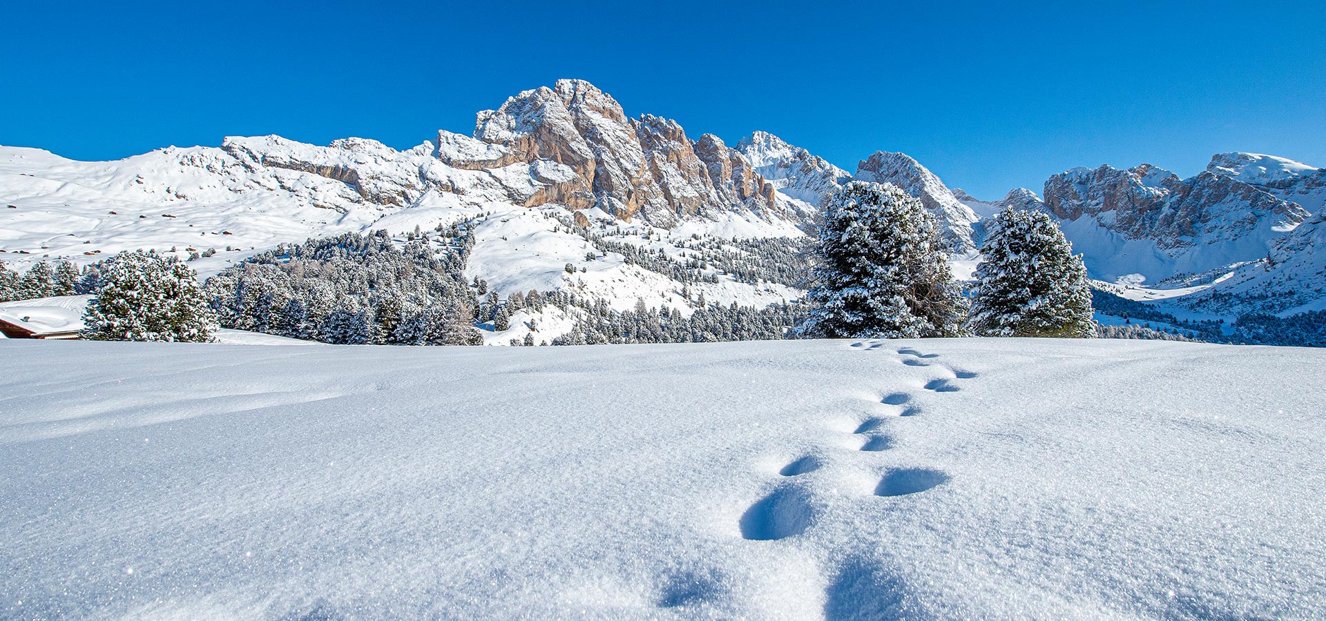 Dolomites Val Gardena